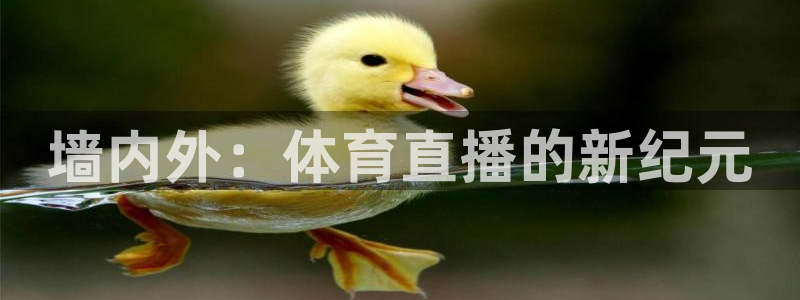 山猫体育直播官网