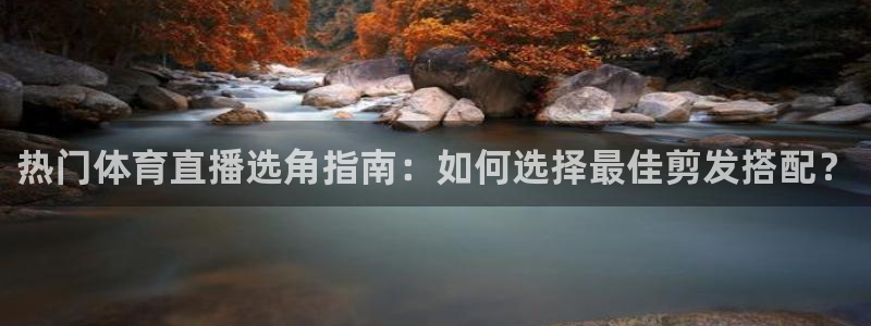 足球山猫运动直播
