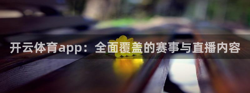 山猫体育足球直播免费观看