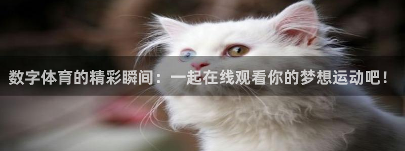 山猫体育在线直播