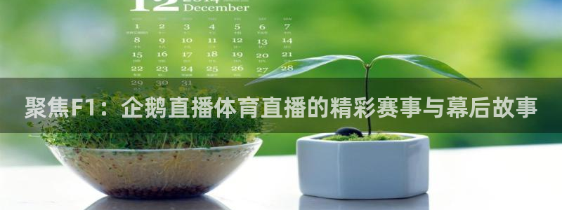 山猫体育直播免费观看高清