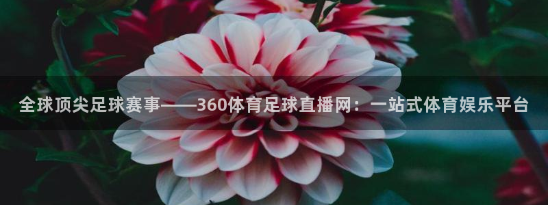 山猫cba直播体育