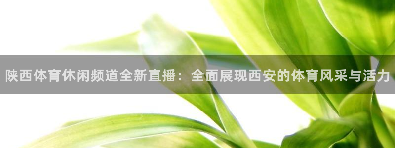 足球山猫直播：陕西体育休闲频道全新直播：全面展现西安的体育风采与活力
