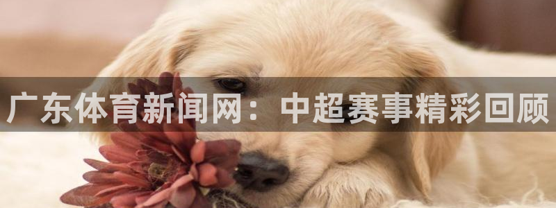 山猫直播体育平台直播：广东体育新闻网：中超赛事精彩回顾