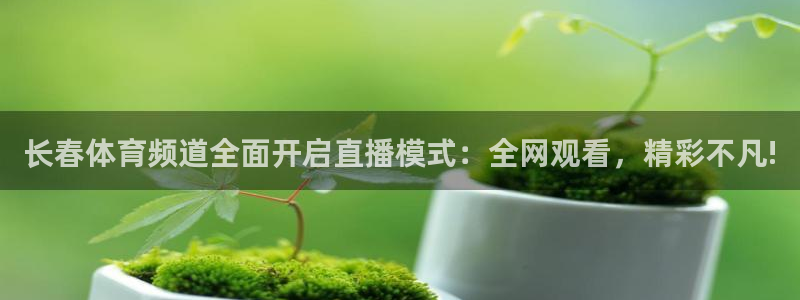 山猫卫星直播体育：长春体育频道全面开启直播模式：全网观看，精彩不凡!