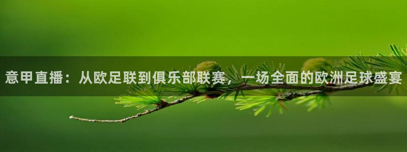 山猫体育免费直播篮球：意甲直播：从欧足联到俱乐部联赛，一场全面的欧洲足球盛宴