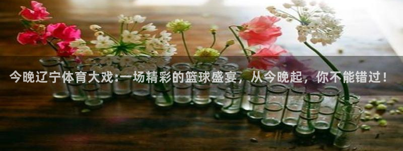 山猫体育直播平台赛事：今晚辽宁体育大戏:一场精彩的篮球盛宴，从今晚起，你不能错过！