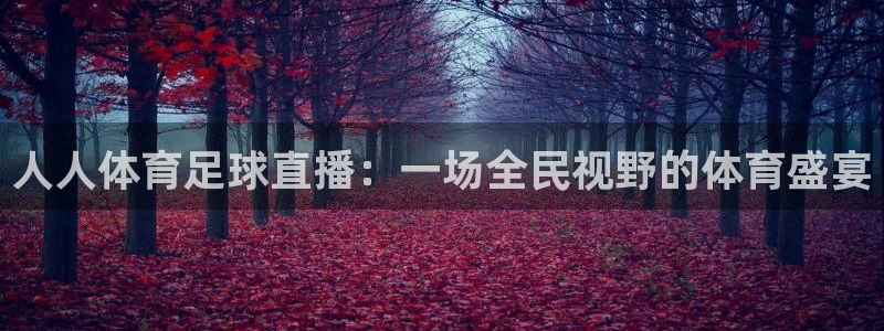 山猫免费直播nba比赛：人人体育足球直播：一场全民视野的体育盛宴