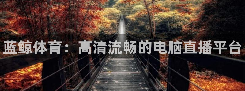 山猫直播在线直播：蓝鲸体育：高清流畅的电脑直播平台