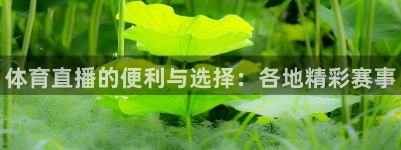山猫足球体育直播