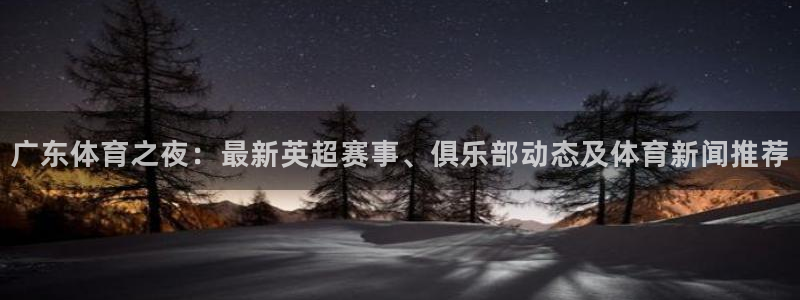 山猫在线体育直播篮球：广东体育之夜：最新英超赛事、俱乐部动态及体育新闻推荐