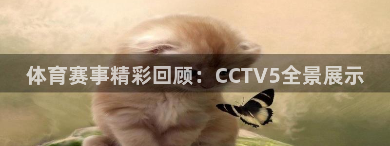 山猫体育免费直播新年送好礼.直达通道.org