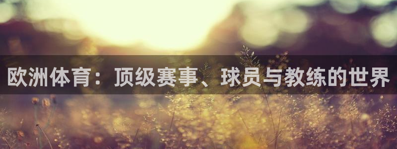 篮球直播山猫：欧洲体育：顶级赛事、球员与教练的世界