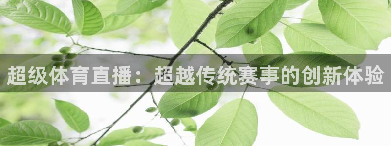 山猫 体育：超级体育直播：超越传统赛事的创新体验