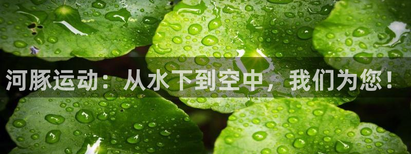 山猫直播：河豚运动：从水下到空中，我们为您！